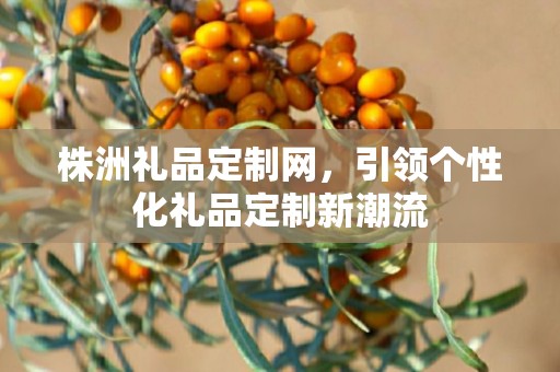 株洲礼品定制网，引领个性化礼品定制新潮流